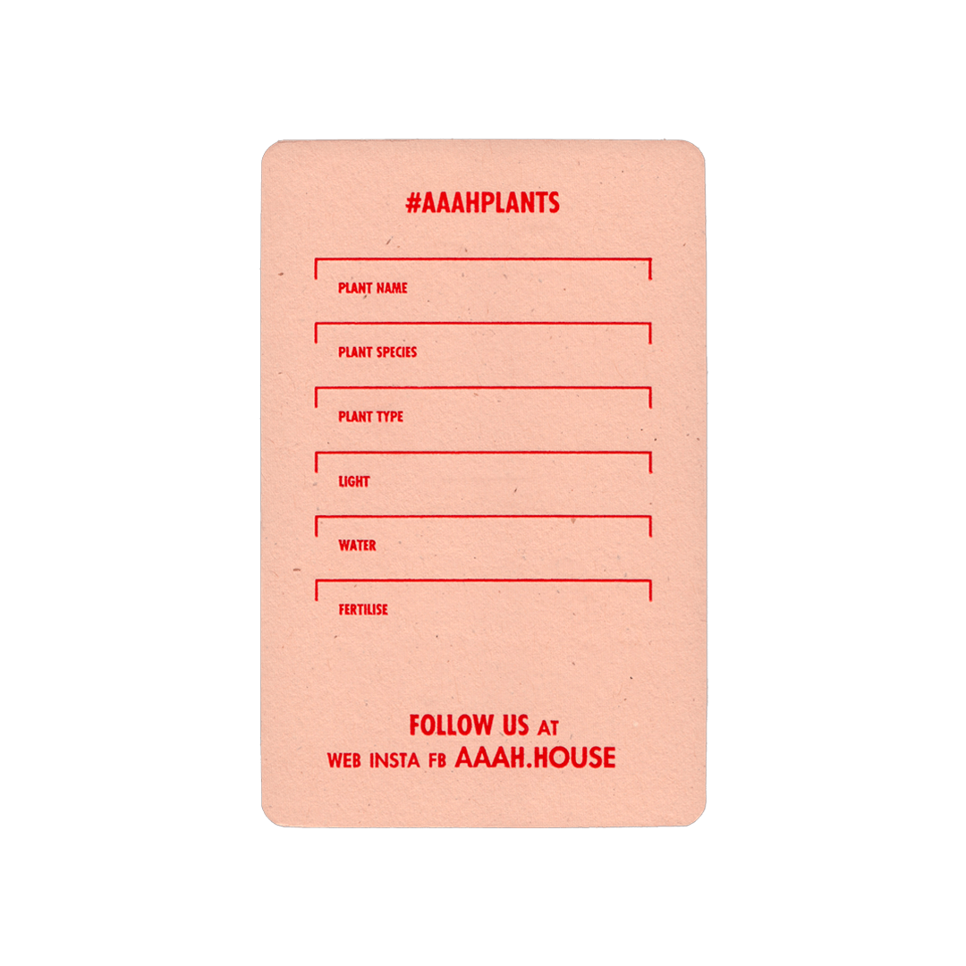 Plant Care Cards (Pack of 10)