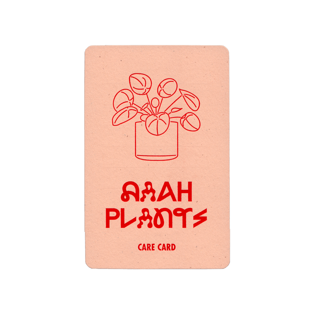 Plant Care Cards (Pack of 10)