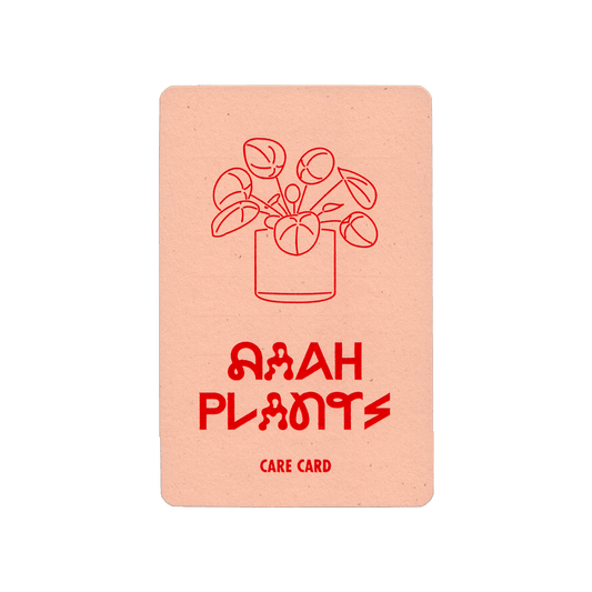 Plant Care Card (Pack of 10)