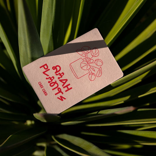 Plant Care Cards (Pack of 10)